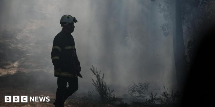 Los incendios forestales en Gironda aumentan mientras la región francesa se prepara para una nueva ola de calor de 40°C