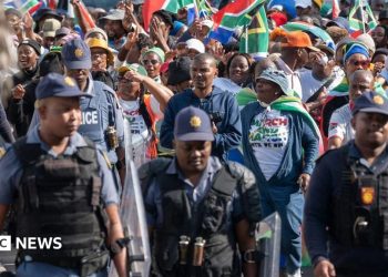 Marcha y disparo de Andile Mvuyelwa Somgxada de Marcha: Equipo especial de la policía sudafricana investigará el asesinato de un líder antiinmigrante