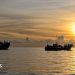 Más de 500 rohingyas desaparecen en el mar: ¿qué pasó?