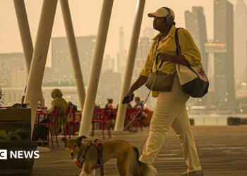 Más de 800 incendios forestales en Canadá arden mientras las alertas de calidad del aire se extienden a EE. UU.