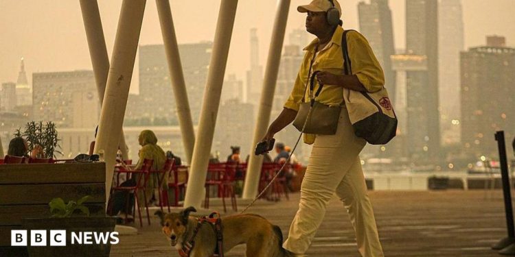 Más de 800 incendios forestales en Canadá arden mientras las alertas de calidad del aire se extienden a EE. UU. Más de 800 incendios forestales en Canadá arden mientras las alertas de calidad del aire se extienden a EE. UU.