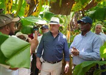 Ministerio de Agricultura inicia protocolo para reapertura de Prodevaj