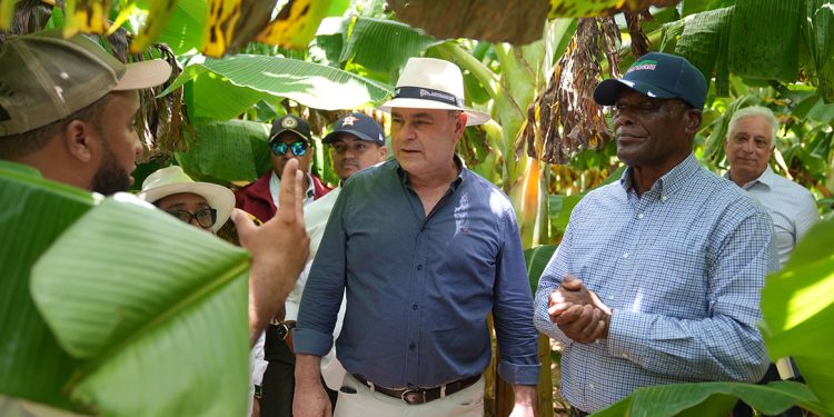 Ministerio de Agricultura inicia protocolo para reapertura de Prodevaj
