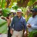 Ministerio de Agricultura inicia protocolo para reapertura de Prodevaj