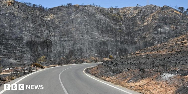 Rescatan a una pareja británica gravemente quemada de un barranco durante los incendios forestales en España