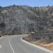 Rescatan a una pareja británica gravemente quemada de un barranco durante los incendios forestales en España