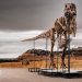 T. rex fossil could become most expensive dinosaur ever sold