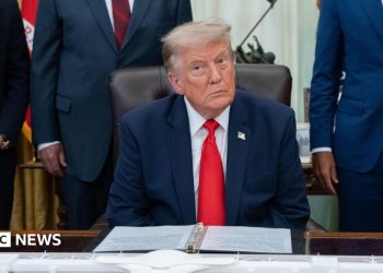 Trump considera controles de IA después de incidentes de piratería de OpenAI