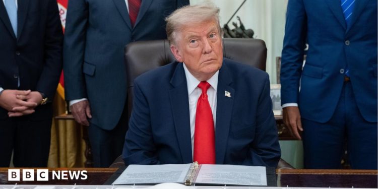 Trump considera controles de IA después de incidentes de piratería de OpenAI