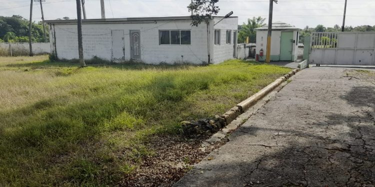 Unos 105 empleados de la Asociación de Ganaderos de Monte Plata llevan casi ocho meses sin cobrar Unos 105 empleados de la Asociación de Ganaderos de Monte Plata llevan casi ocho meses sin cobrar