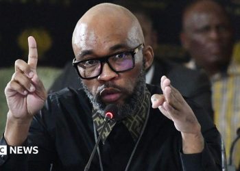 Vusimusi "Cat" Matlala y la Comisión Madlanga de Sudáfrica: ¿Quién es el testigo clave en la investigación sobre corrupción policial?