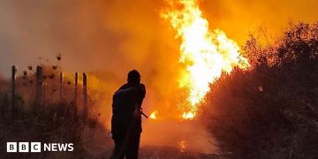 Algeria forest fires: President Abdelmadjid Tebboune seeks death penalty for arsonists