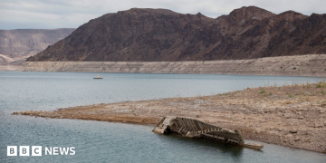 Apparent human remains found in US reservoir as water levels hit record low Apparent human remains found in US reservoir as water levels hit record low