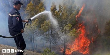 At least 12 dead as wildfires sweep through northern Algeria