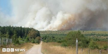 Belgian firefighters battle blaze tearing through nature reserve