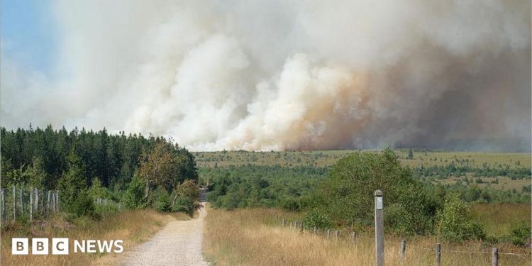 Belgian firefighters battle blaze tearing through nature reserve Belgian firefighters battle blaze tearing through nature reserve