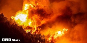 Dozens injured and thousands evacuated in Croatia wildfire