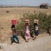 El Niño set to be 'strongest in living memory', says Met Office El Niño set to be 'strongest in living memory', says Met Office