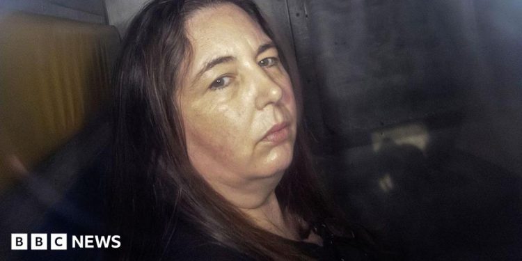 Erin Patterson: The hotel booking snafu that could free mushroom murderer