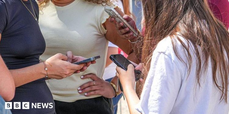 France's top court blocks social media ban for under-15s