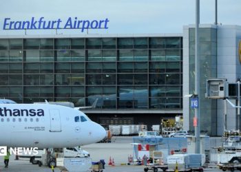 German airport worker dies of malaria after 'mosquito arrives on plane'