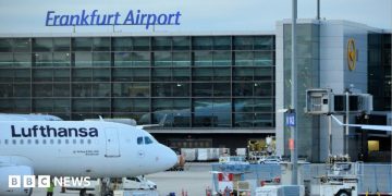 German airport worker dies of malaria after 'mosquito arrives on plane'