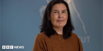 Greenland says findings on forced contraception genocide allegation not final