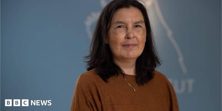 Greenland says findings on forced contraception genocide allegation not final