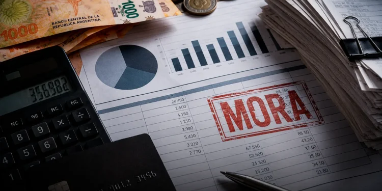 La verdad detrás de la mora: el 40% debe menos de $400.000 y la carga impositiva dispara el costo del crédito La verdad detrás de la mora: el 40% debe menos de $400.000 y la carga impositiva dispara el costo del crédito