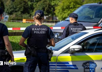 Man arrested after Swiss rave shooting that killed 22-year-old woman