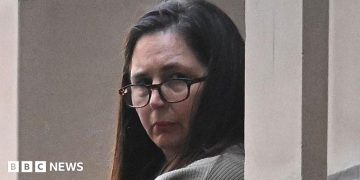 Mushroom murderer Erin Patterson is appealing - here's what you need to know