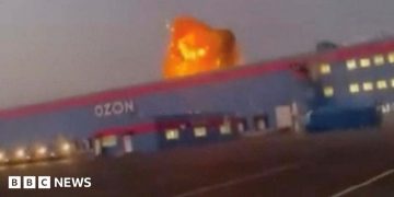 Russia's second-biggest online retailer Ozon targeted in Ukrainian strikes