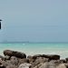 Somali piracy surges as the impact of the US-Iran war ripples outwards