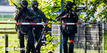 Switzerland rave shooting kills woman, 22 as manhunt launched
