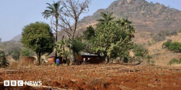 Togo charges two French journalists over incorrect documents, rights group says Togo charges two French journalists over incorrect documents, rights group says