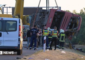 Twelve killed as Polish bus veers off Hungarian motorway