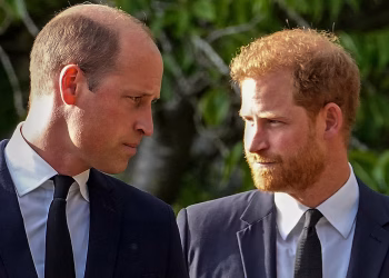 Una pregunta surge sobre el regreso de Harry al Reino Unido. ¿Podrá reconstruir su relación con el príncipe William?