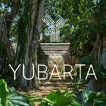 Una semana para crear en Samaná: Atelier Yubarta busca conectar arte, naturaleza y turismo en Cayo Levantado Resort