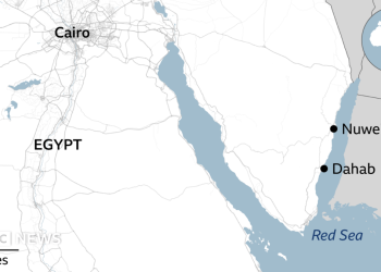 Bus crash kills 22 on Egypt's Red Sea coast