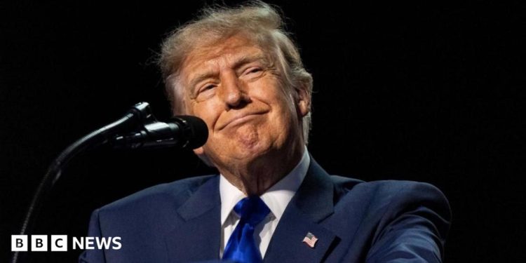 Can Trump really pay $5,000 to every American adult?