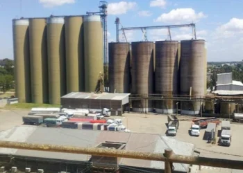 Concluyó en tribunales de Córdoba el concurso de acreedores de Molino Cañuelas