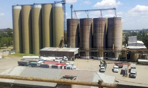 Concluyó en tribunales de Córdoba el concurso de acreedores de Molino Cañuelas