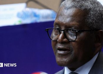 Dangote refinery: Nigerians buying into Africa’s biggest share sale