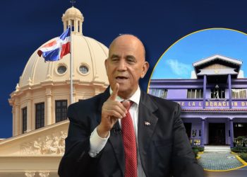 Diceb Gobierno trata de meter "sus manos" en consulta del PLD