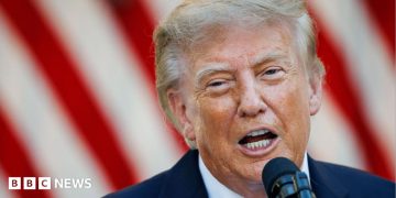 Falkland Islands: Donald Trump hints US would not back UK over Argentina