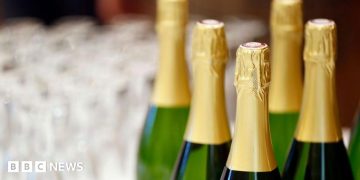 France lifts alcohol content limit on champagne after record heatwaves France lifts alcohol content limit on champagne after record heatwaves