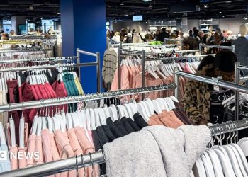 France targets Shein and Temu with fast fashion fees