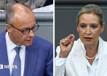 Germany's Merz attacks AfD in parliament after far-right election win