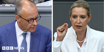 Germany's Merz attacks AfD in parliament after far-right election win Germany's Merz attacks AfD in parliament after far-right election win