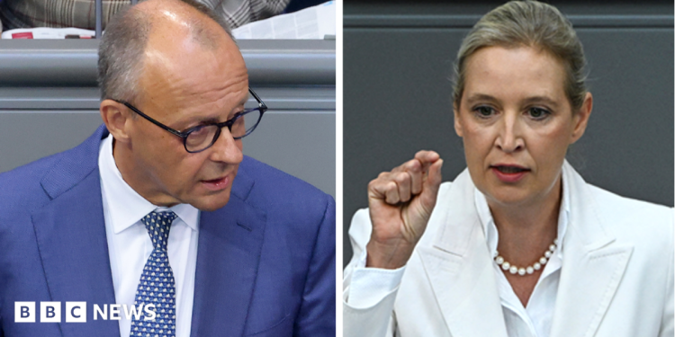 Germany's Merz attacks AfD in parliament after far-right election win